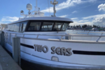 Exclusive Hire, Two Seas 5